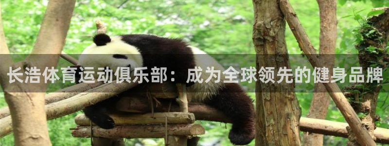 k1体育棋牌：长浩体育运动俱乐部：成为全球领先的健身品牌