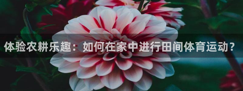 k1体育入口：体验农耕乐趣：如何在家中进行田间体育运动？