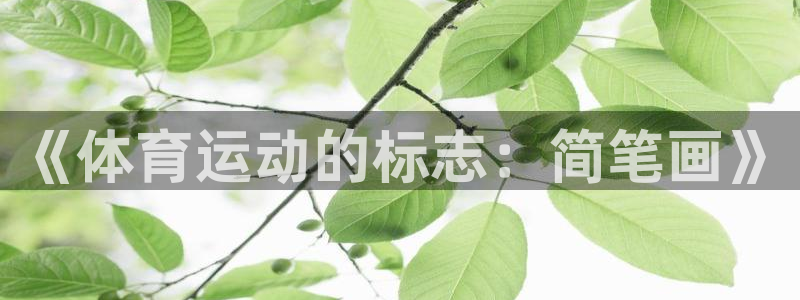 k1体育链接多少：《体育运动的标志：简笔画》