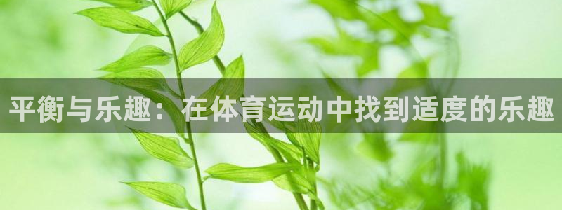 k1体育下载链接：平衡与乐趣：在体育运动中找到适度的乐趣