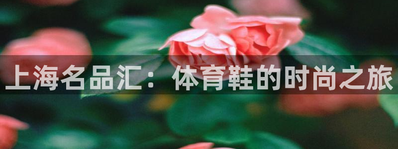 k1体育app下载链接：上海名品汇：体育鞋的时尚之旅
