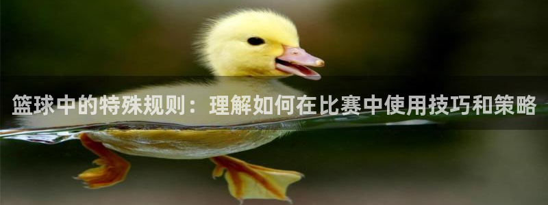 k1体育下载链接：篮球中的特殊规则：理解如何在比赛中使用技巧和策略