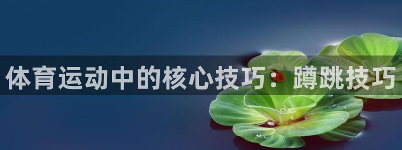 帮k1体育在线登录：体育运动中的核心技巧：蹲跳技巧