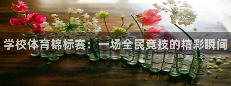 k1体育十年登录入口：学校体育锦标赛：一场全民竞技的精彩瞬间