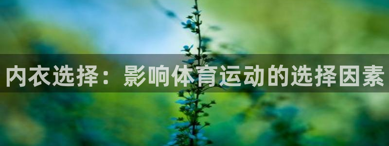 k1体育网站登录官网：内衣选择：影响体育运动的选择因素