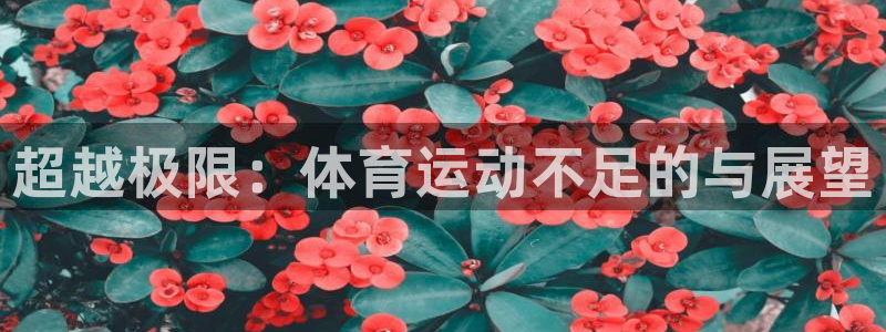 k1体育平台下载：超越极限：体育运动不足的与展望