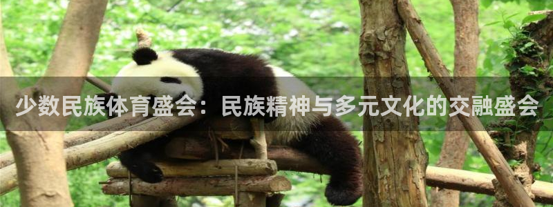帮k1体育在线登录：少数民族体育盛会：民族精神与多元文化的交融盛会